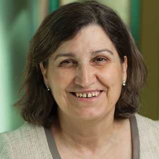 The Political Economy of an Emerging Power: In Search of the Brazil Dream