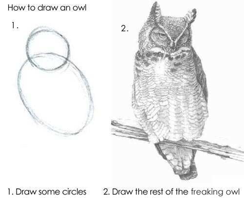 Owl