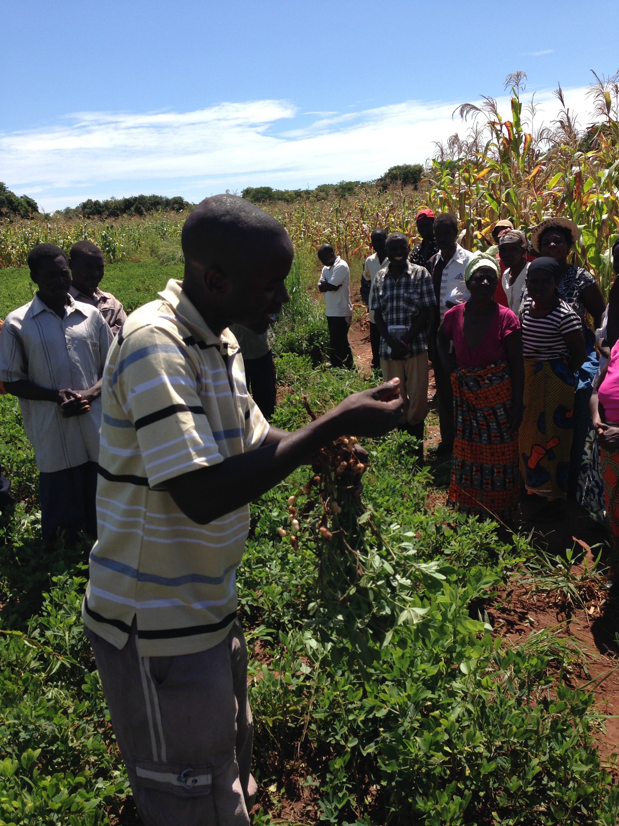 Zambia Farmers