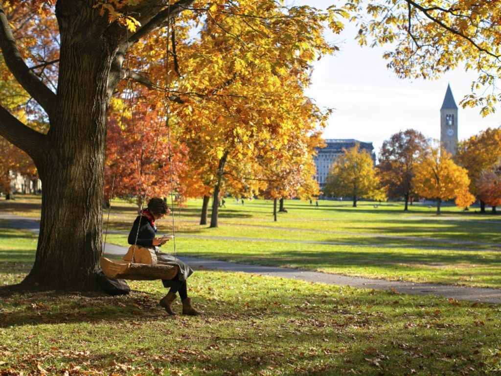 Student on a tree swing in Arts Quad.