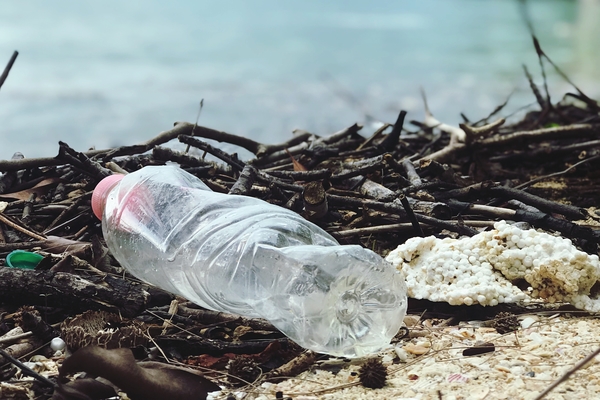 An empty plastic water bottle rests on the bank of a body of water