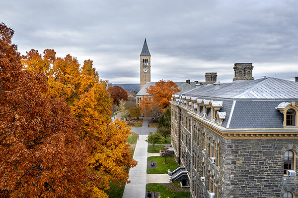 Fall foliage in the foreground with McGraw clock tower in the background.