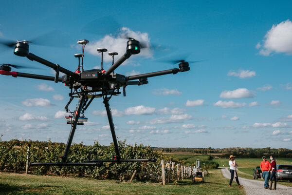 A drone flies through the air gathering data in a grape vineyard at Cornell AgriTech..