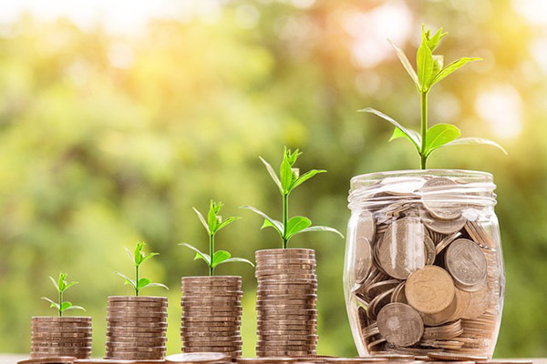 4 stacks of coins and a jar filled with coins with plant shoots growing out of the top of each.