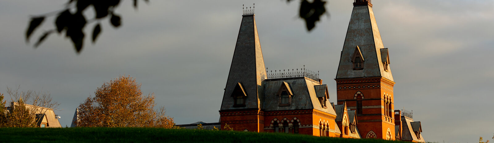 The top of Sage Hall visible over a grassy hill.