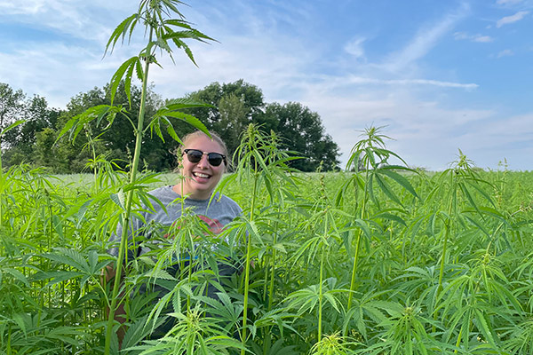 Hailee Greene in one of her fields of hemp.