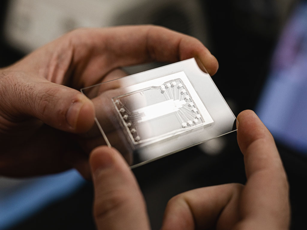 A pair of hands holds a computer chip.