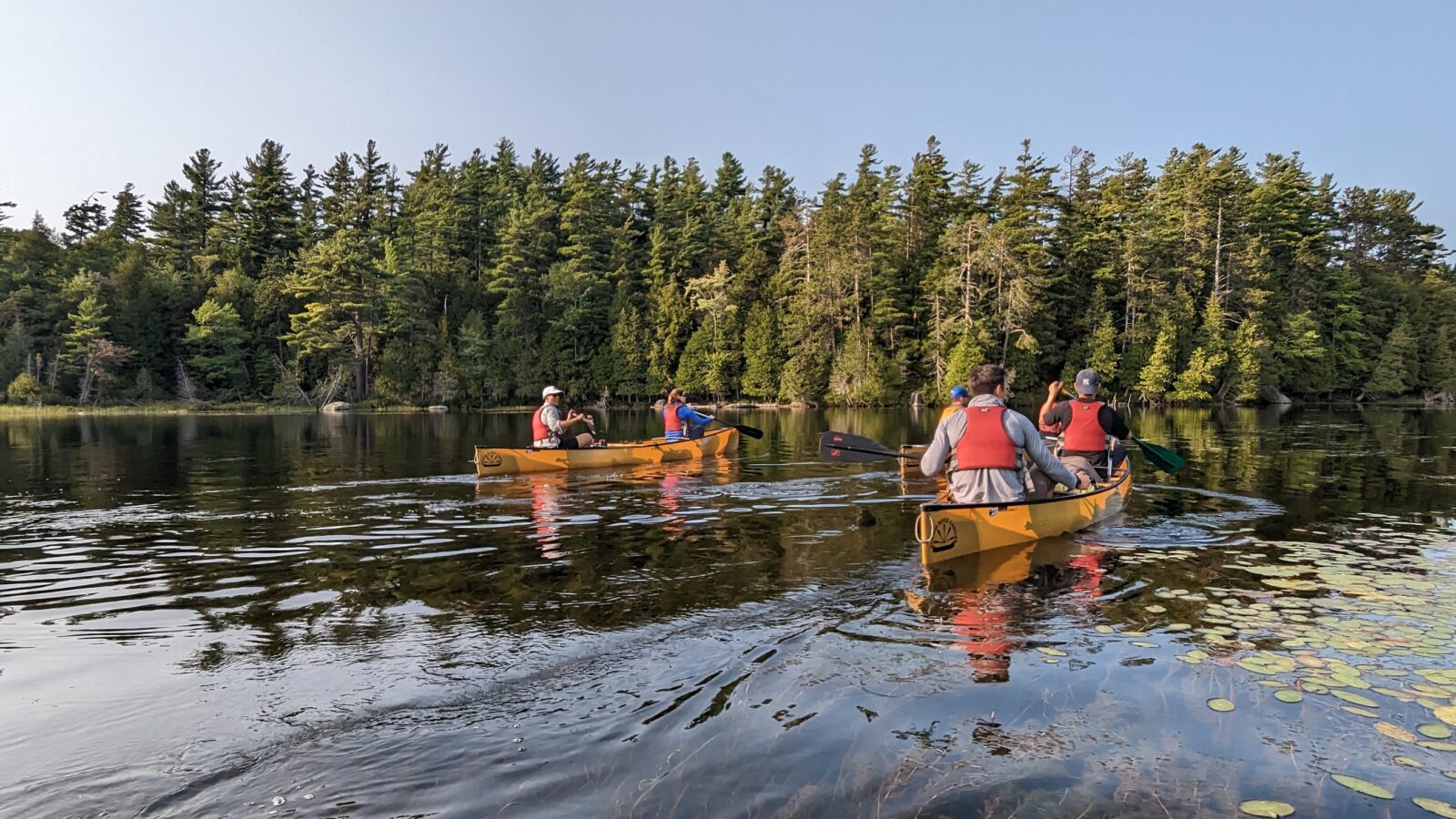 students canoeing on a lake
