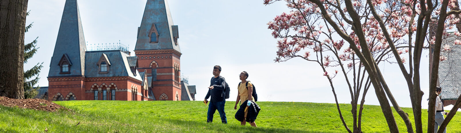 Two students walking in front of Sage hall with cherry blossoms.