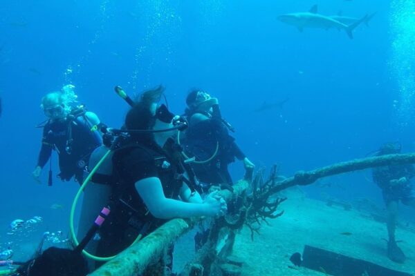 Students underwater wearing SCUBA gear.