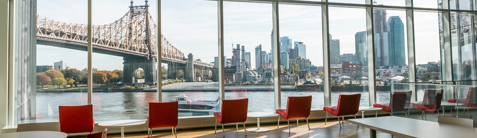 View of Ed Koch Queensboro Bridge from at Tata Innovation Center.